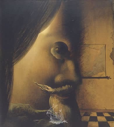 Dali's The Image Disappears